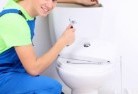 Pagetoilet-replacement-plumbers-2.jpg; ?>